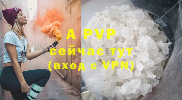индика Нефтегорск