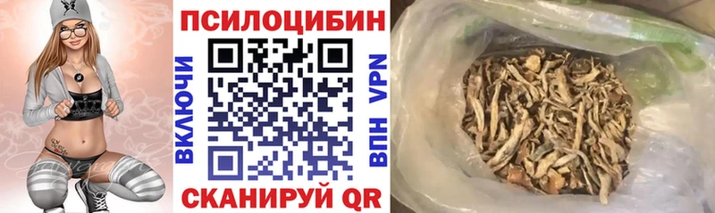 цена наркотик  Луза  Галлюциногенные грибы MAGIC MUSHROOMS 